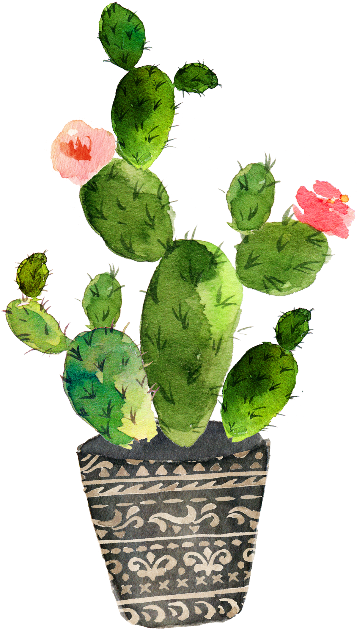 Cactaceae Painting Succulent Plant - Cactus Watercolor Transparent Background (1200x2201), Png Download
