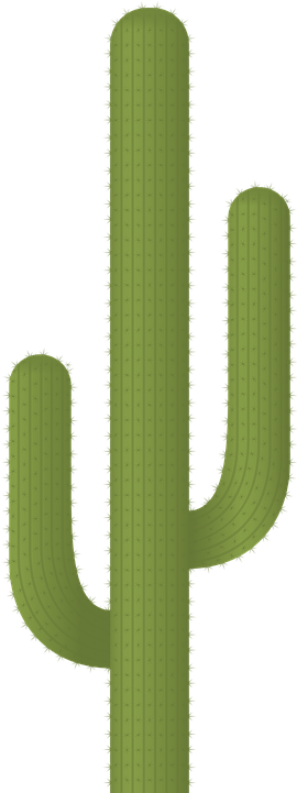 Free Image On Pixabay - Cactus Plants (360x720), Png Download