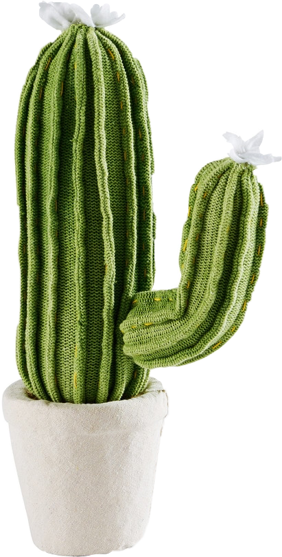 Cactus Laine (411x810), Png Download