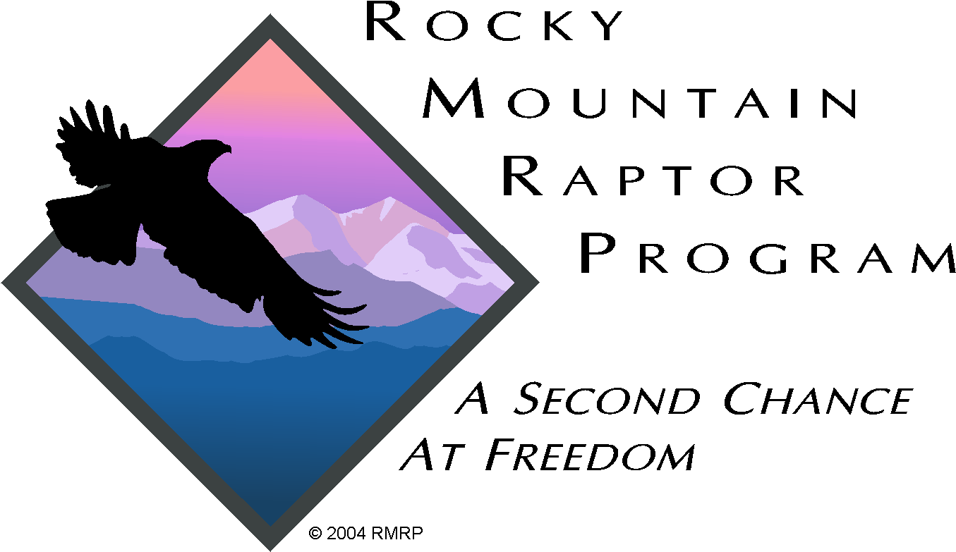 Png - Meralliance (1499x892), Png Download