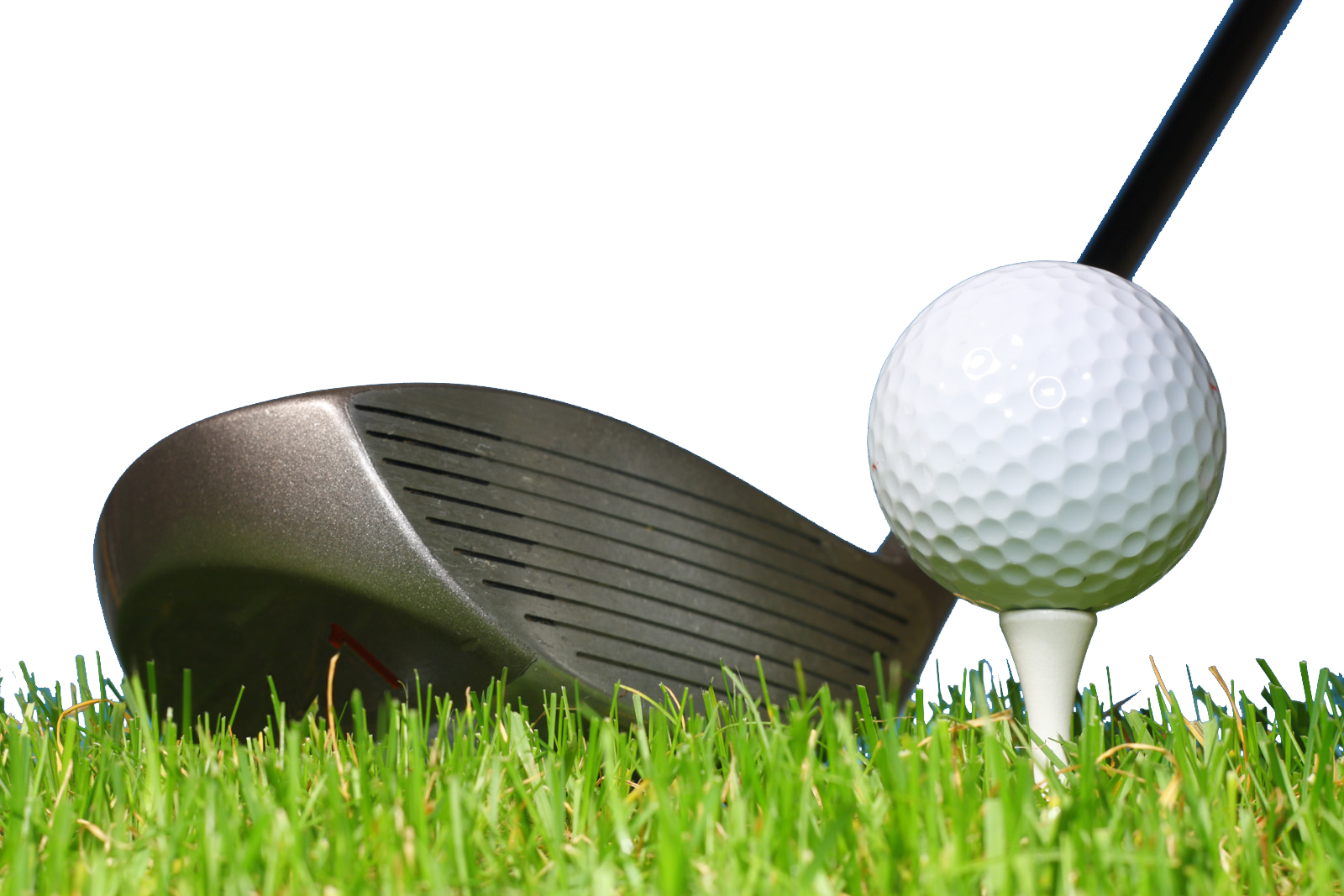 Ball Club Tee Wood Balls And Clubs - Golf Ball And Club (1600x1067), Png Download