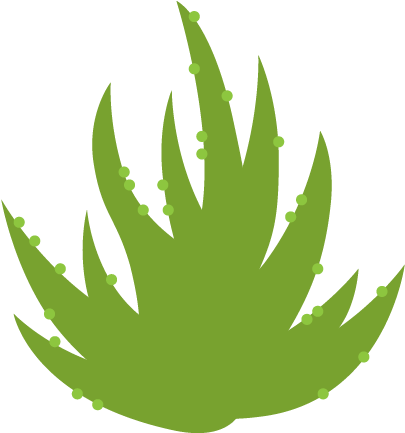 Airplant Wall Decal - Illustration (660x500), Png Download