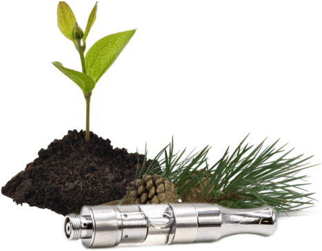 Cbd Vape Cartridge 200mg Gg - Cannabidiol (600x600), Png Download