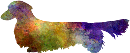 Bleed Area May Not Be Visible - Dachshund February Notebook Dachshund Record, Log, (600x480), Png Download