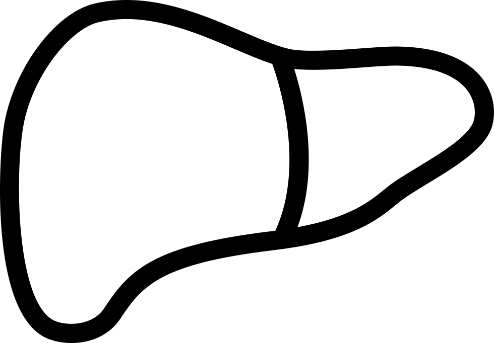 Liver Comments - Liver In Black And White (980x682), Png Download