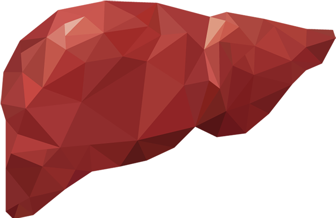 Take Care Of Your Liver Naturally - Liver (900x450), Png Download