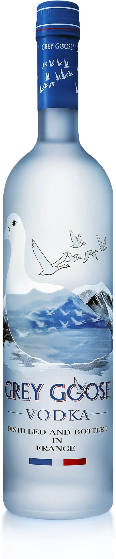 Grey Goose Vodka Bottle - Grey Goose Jeroboam Plain Vodka (600x2000), Png Download