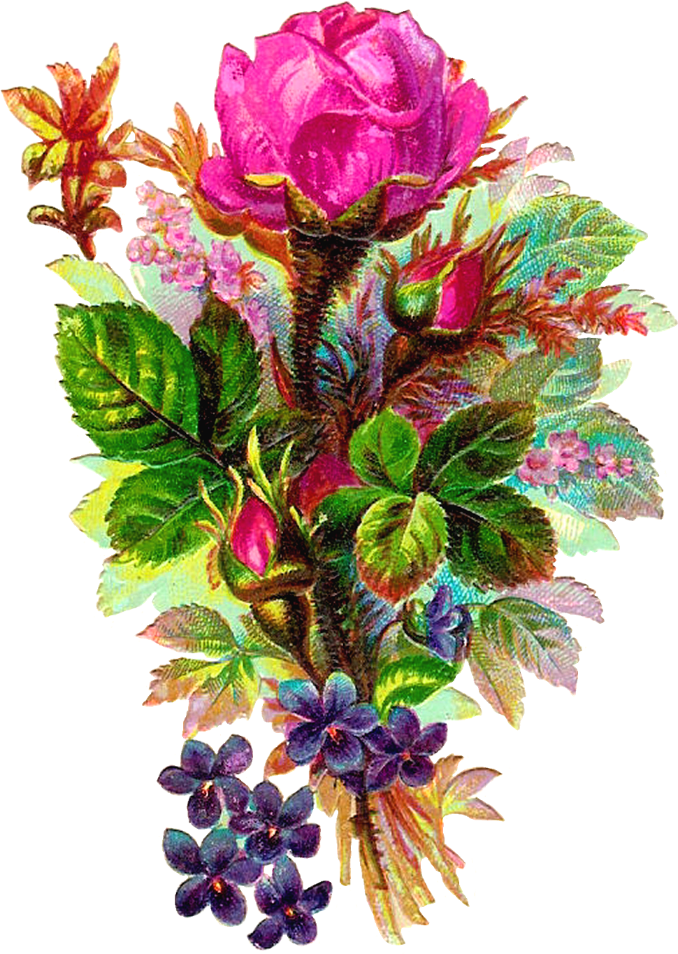 Pink Rose Clipart Beautiful Flower - Emoji Cor-de-rosa Chinelos (1244x1600), Png Download