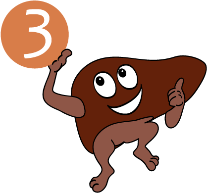 This Is When Organs Like Your Liver And Brain Do The - Skin (441x409), Png Download