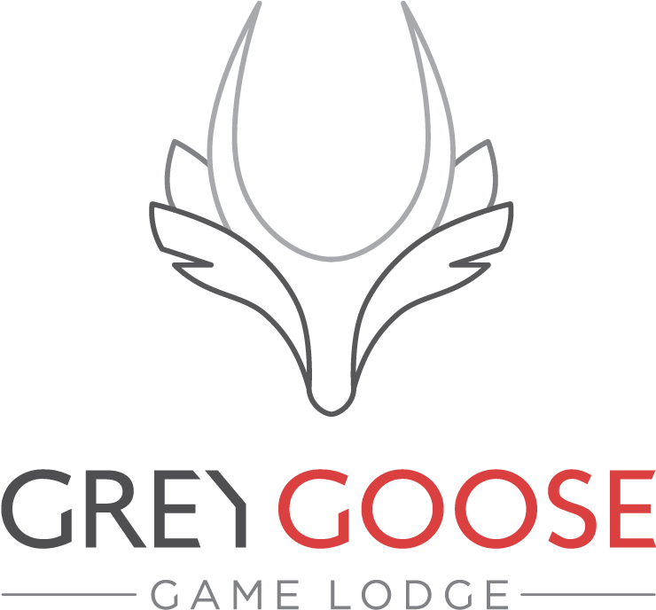 Grey Goose Game Lodge (1510x869), Png Download