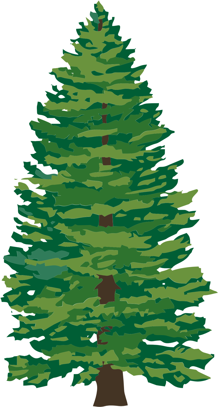 Tree Removal Dunkirk, Md Spences Tree Service Graphic - Tree Png (959x1629), Png Download