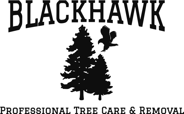 Blackhawk Tree Services Logo - Military (640x434), Png Download