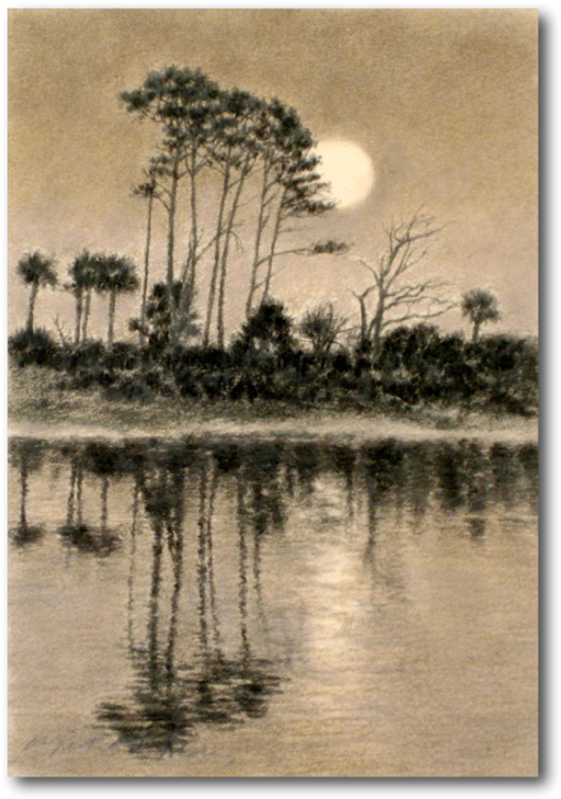 Home - American Pitch Pine (540x755), Png Download