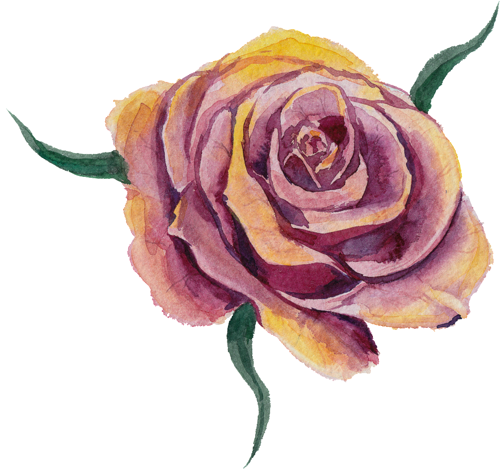 Purplish Yellow Flower Watercolor Transparent Flower - Vector Graphics (1024x1024), Png Download