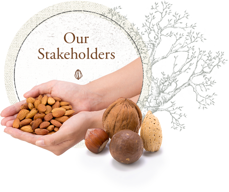Nut (461x387), Png Download