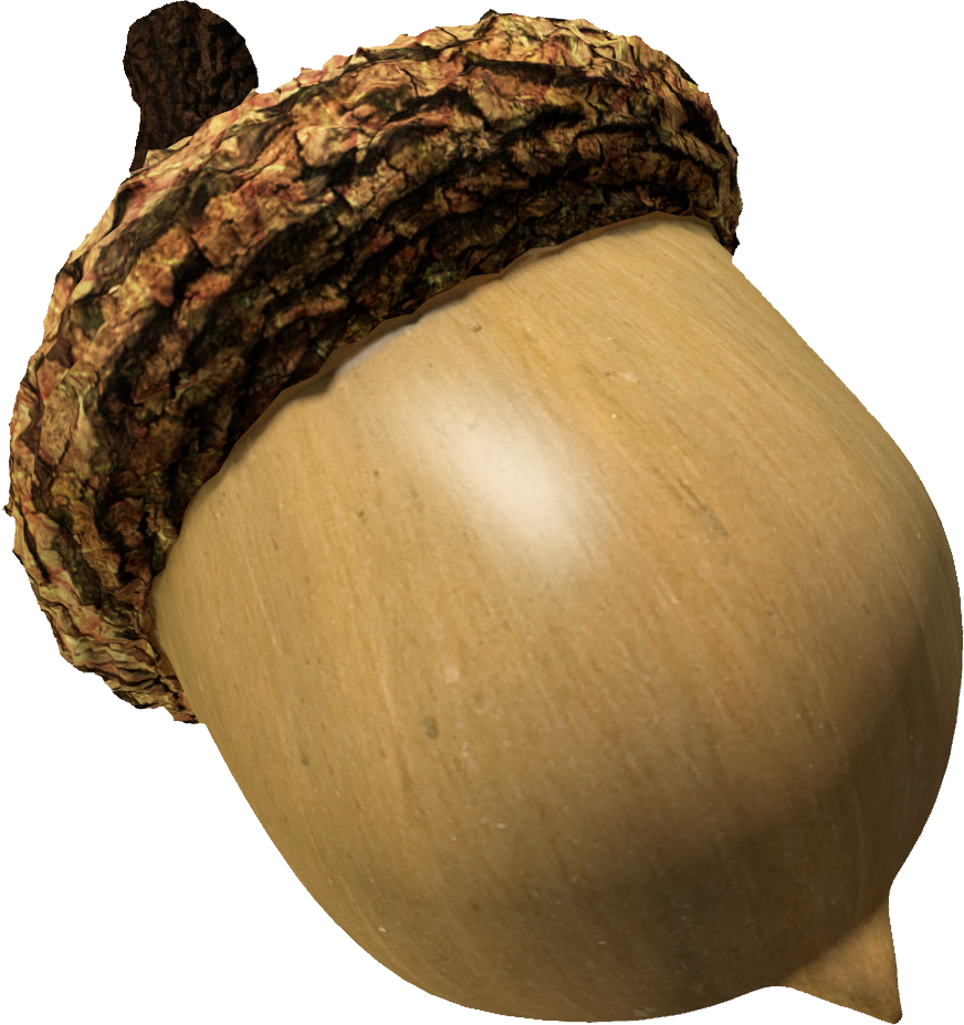 Acorn Animal Transparent Png Images Free Download 004 - Acorn Png (872x927), Png Download