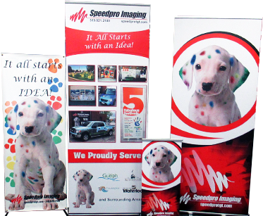 Banner Stands - Two Small Black And White Dalmatian Puppies (561x314), Png Download