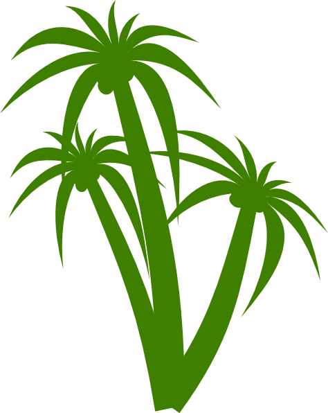 This Free Clipart Png Design Of Triple Palm Tree Clipart (474x596), Png Download