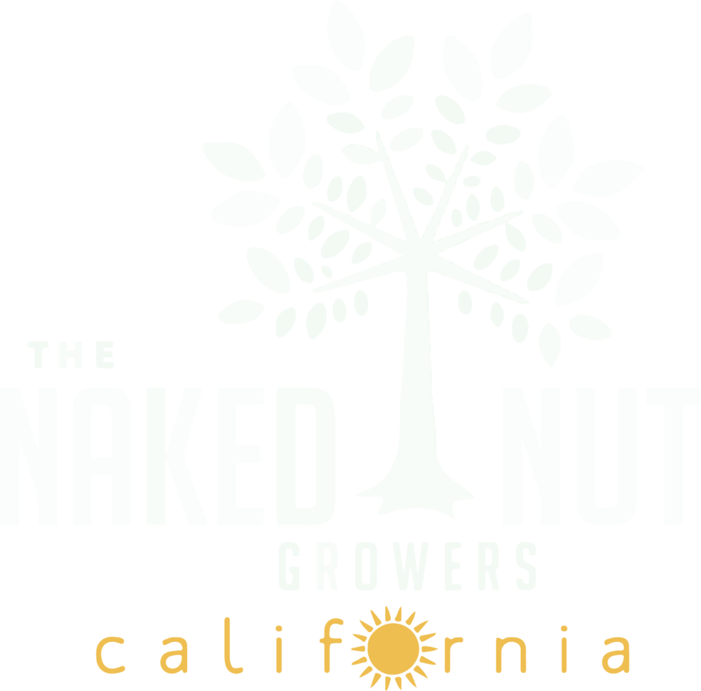 Nut Png (1000x986), Png Download