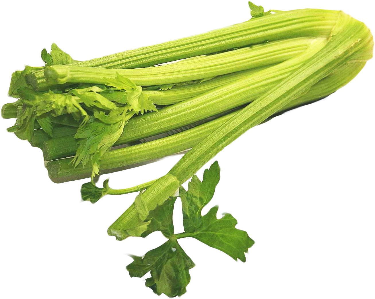 Celery Png (1414x1139), Png Download