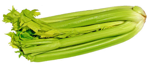 Celery Transparent Slice Stock - Png Celery (500x265), Png Download