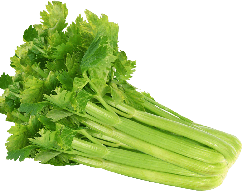 Celery Png Image - Celery Seeds 100 Seeds Vegetable Seeds (1024x1024), Png Download