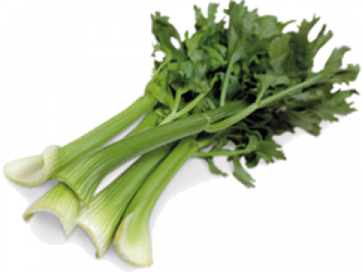 Celery (400x300), Png Download