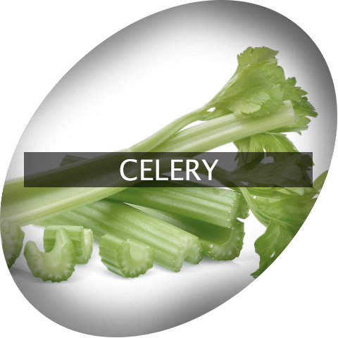 Landingimage Igrow Celery - Cruciferous Vegetables (480x480), Png Download