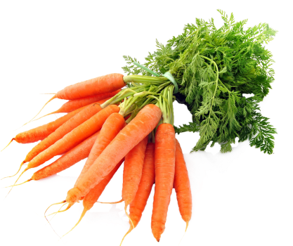 8 Months Ago 1169 121 - Transparent Background Carrot Png (480x349), Png Download