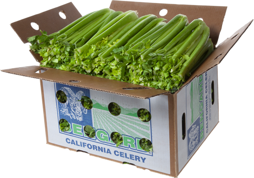 Celery - Naked Celery (510x357), Png Download