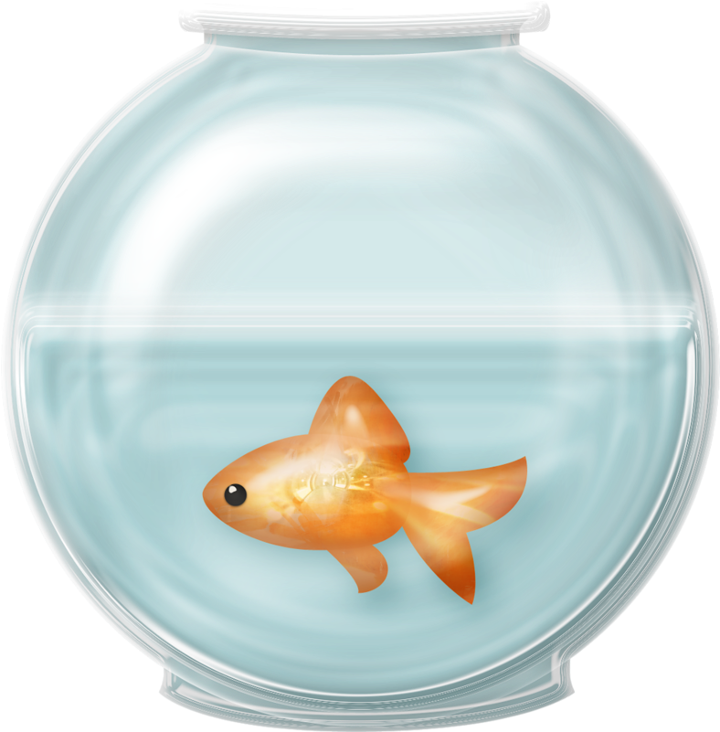 28 Collection Of Fish Bowl Clipart Free - Fish In Bowl Png (900x900), Png Download