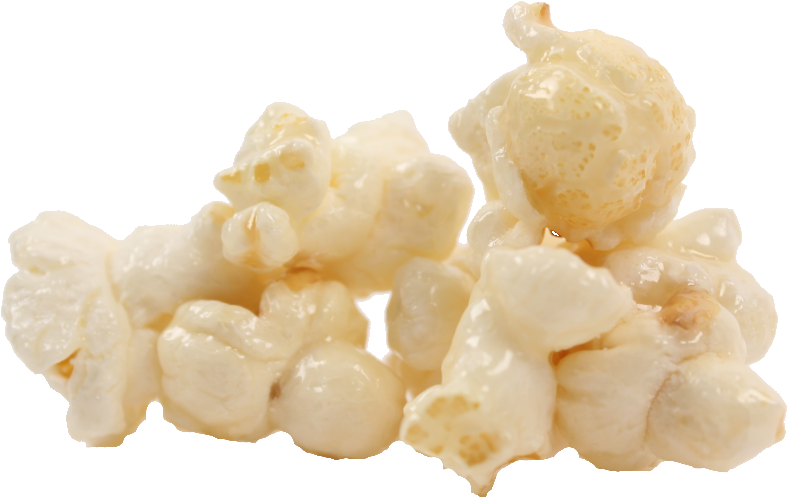 Our Chefs Start With American Grown Premium Non-gmo - Kernel Encore Marshmallow Popcorn 2-gallon Medium Bag (800x571), Png Download