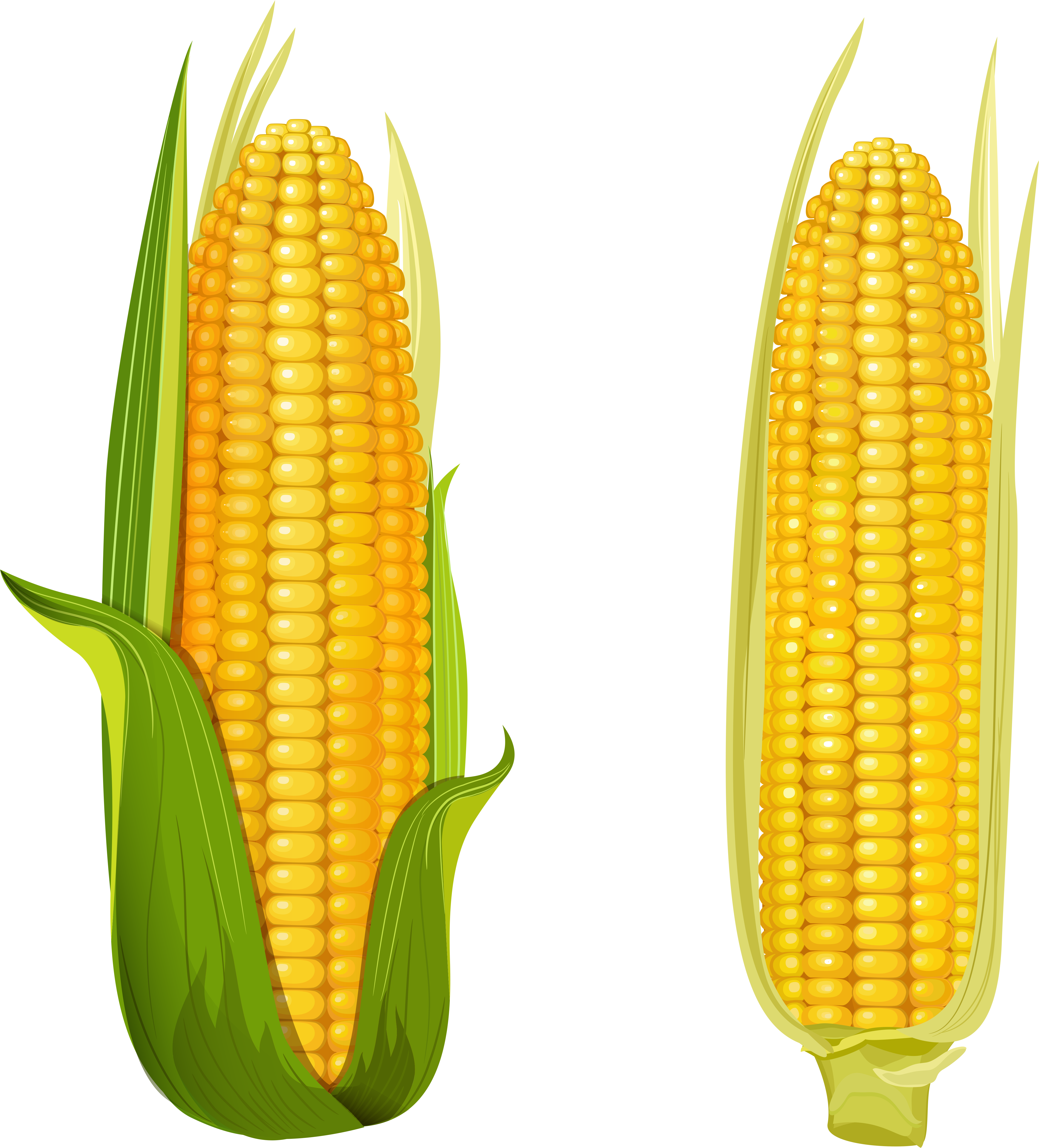 0 125c8e 4882674d Orig (4515x5000), Png Download