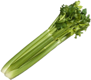 Celery Tall Utah Great Heirloom Vegetable Bulk Wholesale (399x306), Png Download