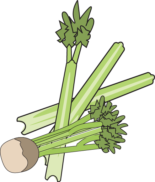 19 Celery Stalk Vector Black And White Huge Freebie (494x581), Png Download
