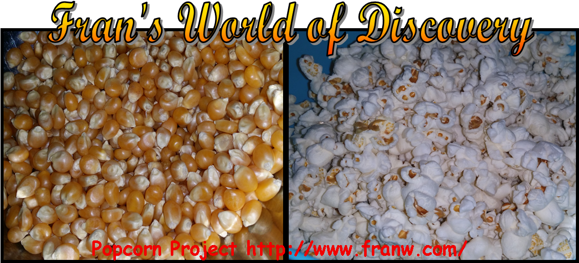 Popcorn Project - Corn Kernels (1134x523), Png Download