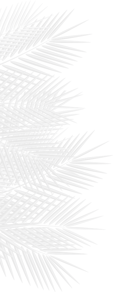 Calendars - Monochrome (383x985), Png Download