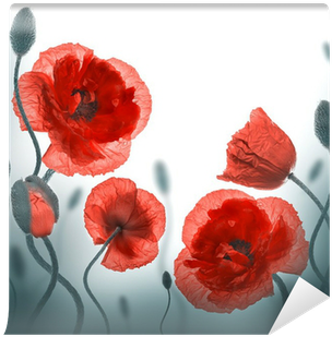 File Img, Poppy Field - Blessed New Week Messages (400x400), Png Download