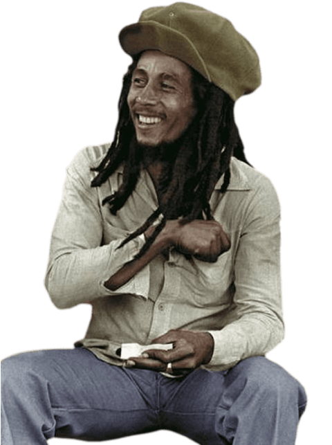 Free Png Bob Marley Png Images Transparent - Bob Marley Museum (480x679), Png Download