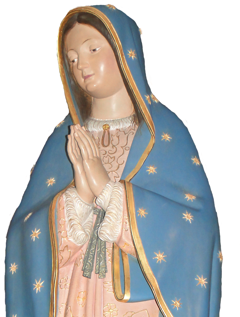 Continuamos Informando, A La Comunidad Parroquial De - Cape (1148x1148), Png Download