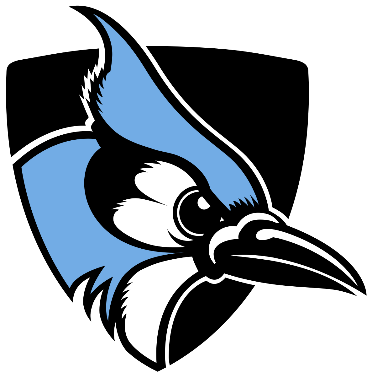 Johns Hopkins University Blue Jays (1200x1223), Png Download