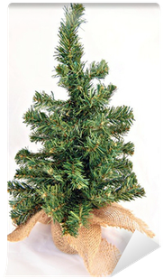 Christmas Tree (400x400), Png Download