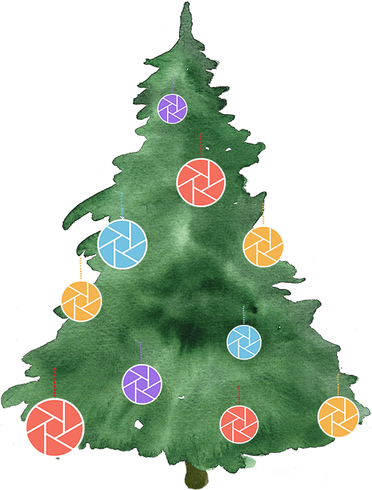 Christmas Tree Deals - Christmas Tree Watercolour Png (534x750), Png Download
