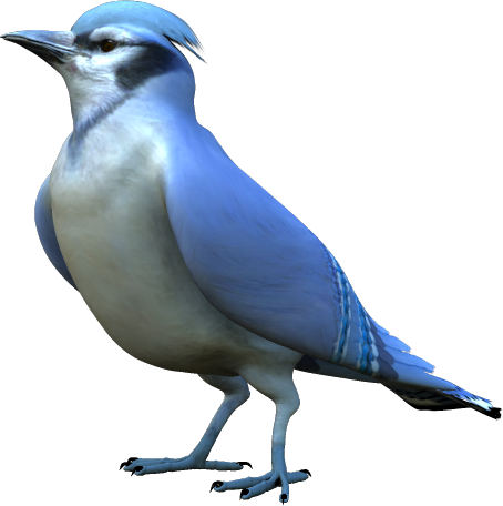 Blog - Madár Png Kép (454x456), Png Download