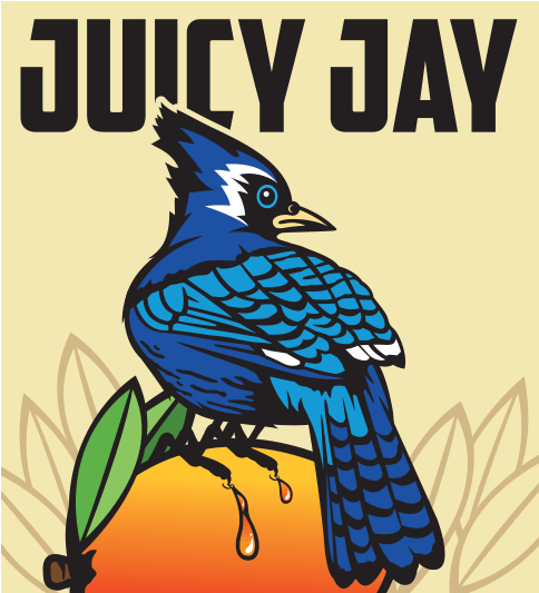 Blue Jay (600x600), Png Download