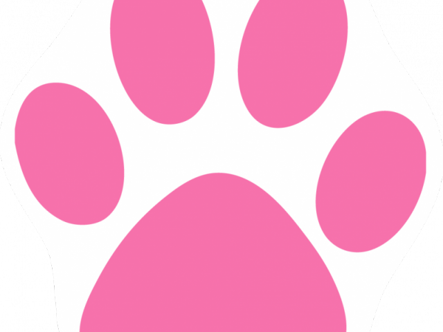 Cat Paw Print Image - Pink Paw Print Clip Art (640x480), Png Download
