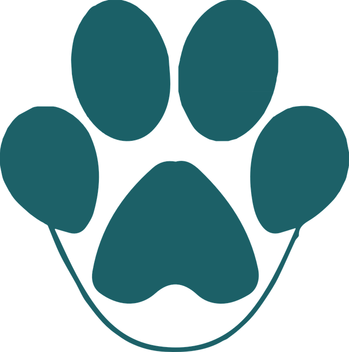 Cat Paw Print Image - Gambar Cap Kaki Singa (713x720), Png Download