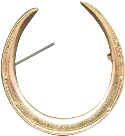 Horseshoe Pin Gold Plated Circa - Circle (530x530), Png Download