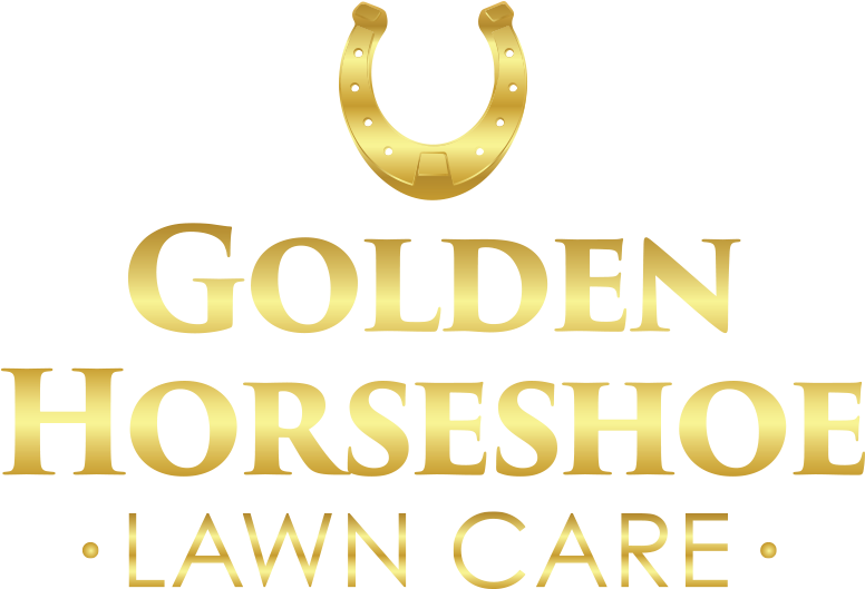 Construction (800x555), Png Download