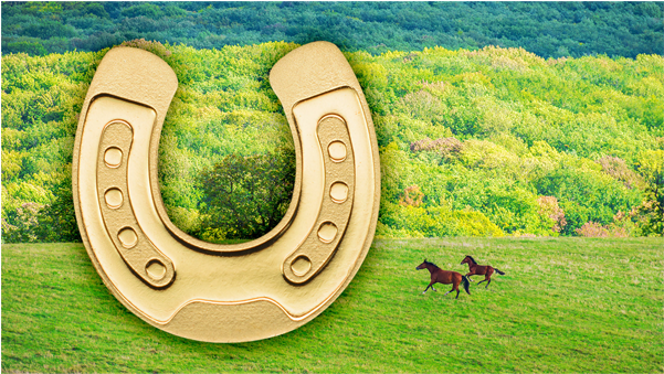 Golden Horseshoe, Cit Coin Invest Trust Ag / B - Gold (600x600), Png Download